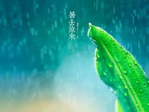 三伏天，“以热逼寒”的好时机！