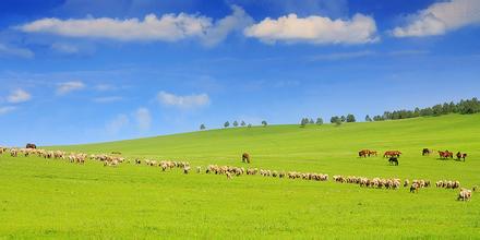 呼伦贝尔，你所不知道的天堂颜色
