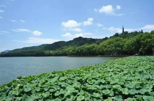 如果你来杭州，我才不带你去西湖