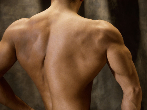 不同体格的型男养成术