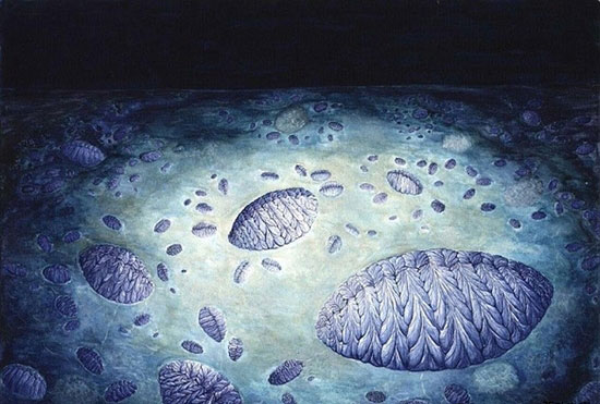 5.8亿年！史上最早的啪啪啪被发现了