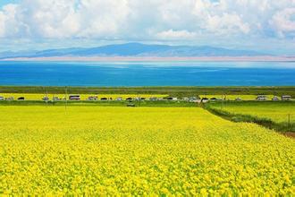 8月最佳旅游景点，错过又得等一年！