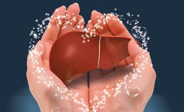 如何养肝护肝 中医教你5个日常养肝小秘方