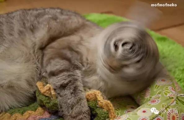 月底了，当被别人问起“还有钱吗？”时候的你。。