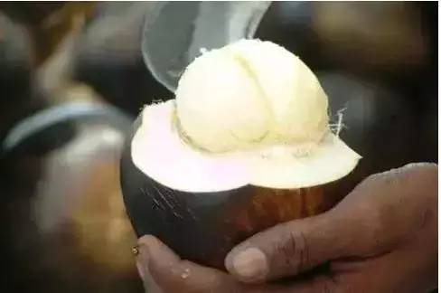 千奇百趣的水果，见过3种算你牛~